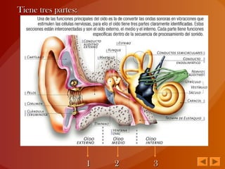 Tiene tres partes:Tiene tres partes:
1 2 31 2 3
 