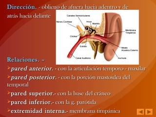 Dirección.Dirección. -- oblicuo de afuera hacia adentro y deoblicuo de afuera hacia adentro y de
atrás hacia delanteatrás hacia delante
Relaciones. –Relaciones. –
pared anteriorpared anterior. - con la articulación temporo - maxílar. - con la articulación temporo - maxílar
pared posteriorpared posterior. - con la porción mastoidea del. - con la porción mastoidea del
temporaltemporal
pared superiorpared superior.- con la base del cráneo.- con la base del cráneo
pared inferiorpared inferior.- con la g. parótida.- con la g. parótida
extremidad internaextremidad interna.- membrana timpánica.- membrana timpánica
 