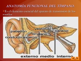 ANATOMÍA FUNCIONAL DEL TÍMPANO.ANATOMÍA FUNCIONAL DEL TÍMPANO.
Es el elemento esencial del aparato de transmisión de losEs el elemento esencial del aparato de transmisión de los
sonidossonidos
 