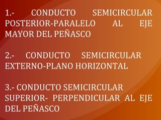 1.- CONDUCTO SEMICIRCULAR
POSTERIOR-PARALELO AL EJE
MAYOR DEL PEÑASCO
2.- CONDUCTO SEMICIRCULAR
EXTERNO-PLANO HORIZONTAL
3.- CONDUCTO SEMICIRCULAR
SUPERIOR- PERPENDICULAR AL EJE
DEL PEÑASCO
 