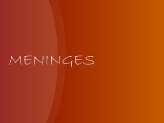 MENINGES
 