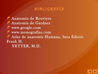BIBLIGRAFÍA
 Anatomía de Rouviere
 Anatomía de Gardner
 www.google.com
 www.monografías.com
 Atlas de anatomía Humana, 3era Edició.
Frank H.
NETTER, M.D.
 
