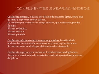 CONFLUENTES SUBARACNOIDEOS
Confluente anterior.- Situado por delante del quiasma óptico, entre este
quiasma y el pico del cuerpo calloso.
Se continua por los lados con el lago silviano, que recibe tres grandes
flumina:
Flumen rolándico.
Flumen silviano.
Flumen paralelo.
Confluente Inferior o central o anterior y medio.- Se extiende de
adelante hacia atrás desde quiasma óptico hasta la protuberancia.
Se comunica con los dos lagos silviano derecho e izquierdo.
Confluente superior.- por encima de los tubérculos cuadrigéminos.
Contiene la terminación de las arterias cerebrales posteriores y la vena
de galeno.
 