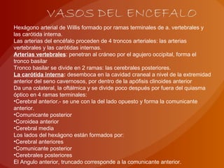 Hexágono arterial de Willis formado por ramas terminales de a. vertebrales y
las carótida interna.
Las arterias del encéfalo proceden de 4 troncos arteriales: las arterias
vertebrales y las carótidas internas.
Arterias vertebrales: penetran al cráneo por el agujero occipital, forma el
tronco basilar
Tronco basilar se divide en 2 ramas: las cerebrales posteriores.
La carótida interna: desemboca en la cavidad craneal a nivel de la extremidad
anterior del seno cavernosos, por dentro de la apófisis clinoides anterior
Da una colateral, la oftálmica y se divide poco después por fuera del quiasma
óptico en 4 ramas terminales:
•Cerebral anterior.- se une con la del lado opuesto y forma la comunicante
anterior.
•Comunicante posterior
•Coroidea anterior
•Cerebral media
Los lados del hexágono están formados por:
•Cerebral anteriores
•Comunicante posterior
•Cerebrales posteriores
El Angulo anterior, truncado corresponde a la comunicante anterior.
 