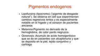 Pigmentos endogenos
Lipofucsina (lipocromo) (“pigemto de desgaste
natural”). Se observa en cell que experimentan
cambios regresivos lentos y es especialmente
notable en el higado y el corazon de pacientes
ancianos
Melanina:Pigmento no derivado de la
hemoglobina, de color pardo negruzco.
Ocronosis: Acumulo de acido homogentisico
que se da en pacientes con alcaptonuria y que
se deposita en la piel, tejido conjuntivo y
cartilago
•
•
•
 