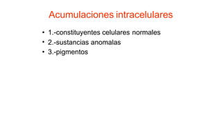 Acumulaciones intracelulares
•
•
•
1.-constituyentes celulares normales
2.-sustancias
3.-pigmentos
anomalas
 