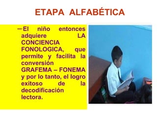 ETAPA  ALFABÉTICA El niño entonces adquiere LA CONCIENCIA FONOLOGICA, que permite y facilita la conversión GRAFEMA – FONEMA y por lo tanto, el logro exitoso de la decodificación lectora.  