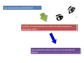 Los movimientos SACCÁDICOS Cuando una persona lee un texto sus ojos avanzan a pequeños saltos Estos pequeños saltos se alternan con periodos de fijación 