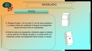 MODELADO.
4. Dibujar el paso 1 en la cara V y en la cara opuesta o
L y hacer cortes de vestibular a lingual convergentes
hacia cervical como lo muestrearé.
5.Giral el cubo a la izquierda o derecha según el diente
y en la cara M y D dibujar el paso 2 y cortar de M a D
haciendo cortes convergentes hacia incisal u oclusal
PASOS
 