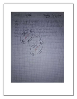 Segundo parcial-GABE