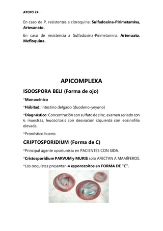 ATERO 24
En caso de P. resistentes a cloroquina: Sulfadoxina-Pirimetamina,
Artesunato.
En caso de resistencia a Sulfadoxina-Pirimetamina: Artenuato,
Mefloquina.
APICOMPLEXA
ISOOSPORA BELI (Forma de ojo)
*Monoxénico
*Hábitad: Intestino delgado (duodeno-yeyuno)
*Diagnóstico: Concentración con sulfato de zinc, examen seriado con
6 muestras, leucocitosis con desviación izquierda con eosinofilia
elevada.
*Pronóstico bueno.
CRIPTOSPORIDIUM (Forma de C)
*Principal agente oportunista en PACIENTES CON SIDA.
*CristosporidiumPARVUMy MURIS solo AFECTAN A MAMÍFEROS.
*Los ooquistes presentan 4 esporozoitos en FORMA DE “C”.
 