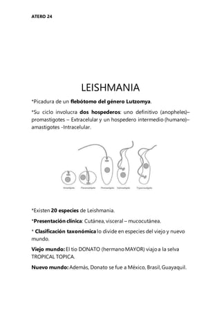 ATERO 24
LEISHMANIA
*Picadura de un flebótomo del género Lutzomya.
*Su ciclo involucra dos hospederos: uno definitivo (anopheles)–
promastigotes – Extracelular y un hospedero intermedio (humano)–
amastigotes -Intracelular.
*Existen 20 especies de Leishmania.
*Presentación clínica: Cutánea, visceral – mucocutánea.
* Clasificación taxonómica lo divide en especies del viejo y nuevo
mundo.
Viejo mundo: El tío DONATO (hermano MAYOR) viajo a la selva
TROPICAL TOPICA.
Nuevo mundo: Además, Donato se fue a México, Brasil, Guayaquil.
 