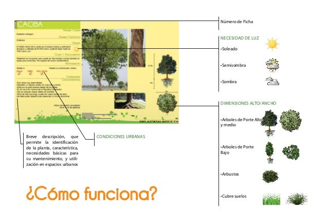 Cat logo de plantas