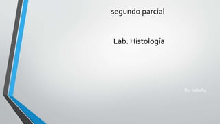 segundo parcial
Lab. Histología
By: isabelly
 
