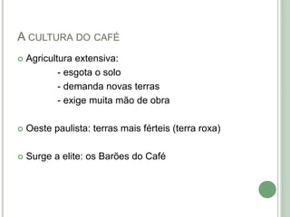 A CULTURA DO CAFÉ
 Agricultura extensiva:
- esgota o solo
- demanda novas terras
- exige muita mão de obra
 Oeste paulista: terras mais férteis (terra roxa)
 Surge a elite: os Barões do Café
 