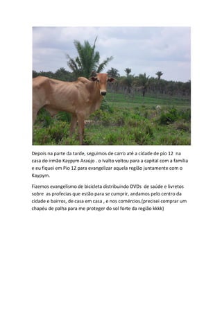 Depois na parte da tarde, seguimos de carro até a cidade de pio 12 na casa do irmão Kaypym Araújo . o Ivalto voltou para a capital com a família e eu fiquei em Pio 12 para evangelizar aquela região juntamente com o Kaypym. 
Fizemos evangelismo de bicicleta distribuindo DVDs de saúde e livretos sobre as profecias que estão para se cumprir, andamos pelo centro da cidade e bairros, de casa em casa , e nos comércios.(precisei comprar um chapéu de palha para me proteger do sol forte da região kkkk)  