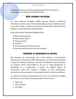 REPORTE DE LECTURA


empresas, carreteras, esto lleva a que gran parte de la naturaleza se
desaparezca, por ejemplo con la tala de árboles.

                     ÁREAS NATURALES PROTEGIDAS.

Las áreas naturales protegidas (ANP), agrupan distintos ecosistemas
terrestres y acuáticos que no han sido alterados por las actividades humanas
y que están sujetos a regímenes especiales de protección y desarrollo para
asegurar la conservación de su biodiversidad.

Dentro de las áreas naturales protegidas están:

      Reserva de la biosfera
      Monumento natural
      Parque nacional
      Santuario
      Área de protección de flora y fauna
      Área de protección de los recursos naturales


                  PROGRAMAS DE RECUPERACIÓN DE ESPECIES.

Este Programa de Conservación de la Vida Silvestre y Diversificación
Productiva en el Sector Rural 1997-2000 propuso una serie de proyectospara
un grupo de especies de plantas y animales consideradas como prioritarias.
Las especies fueron seleccionadas ya sea por su riesgo deextinción, la
factibilidad de su recuperación y manejo, los posibles efectos de
conservación sobre otras especies o hábitats, su valor comoespecies
carismáticas o bien por poseer un alto grado de interés cultural o económico.

Las especies que fueron seleccionadas son las que se encuentran en peligro
de extinción, las que están a punto de perderse como los son:

    Águila real
    Lobo mexicano
    Oso negro
 