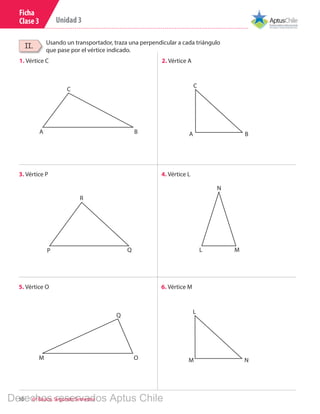 10 6º Básico, Segundo Semestre
Unidad 3
Ficha
Clase 3
Usando un transportador, traza una perpendicular a cada triángulo
que pase por el vértice indicado.
II.
1. Vértice C 2. Vértice A
C
BA
C
BA
3. Vértice P 4. Vértice L
R
QP
N
ML
5. Vértice O 6. Vértice M
Q
OM
L
NM
Derechos reservados Aptus Chile
 