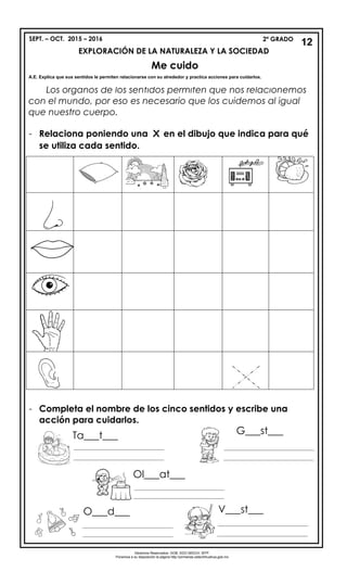 SEPT. – OCT. 2015 – 2016 2º GRADO
EXPLORACIÓN DE LA NATURALEZA Y LA SOCIEDAD
Los órganos de los sentidos permiten que nos relacionemos
con el mundo, por eso es necesario que los cuidemos al igual
que nuestro cuerpo.
- Relaciona poniendo una X en el dibujo que indica para qué
se utiliza cada sentido.
- Completa el nombre de los cinco sentidos y escribe una
acción para cuidarlos.
12
Derechos Reservados. GOB. EDO.SEECH. MTP.
Ponemos a su disposición la página http://primarias.cetechihuahua.gob.mx
Me cuido
A.E. Explica que sus sentidos le permiten relacionarse con su alrededor y practica acciones para cuidarlos.
________________________________
Ta___t___ G___st___
Ol___at___
O___d___ V___st___
________________________________
________________________________ ________________________________
________________________________
________________________________________________________________
________________________________
________________________________
________________________________
 