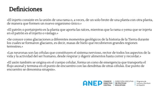 Definiciones
«El injerto consiste en la unión de una rama o, a veces, de un solo brote de una planta con otra planta,
de manera que formen un nuevo organismo único.»
«El patrón o portainjerto es la planta que aporta las raíces, mientras que la rama o yema que se injerta
en el patrón es el injerto o vástago.»
«Se conoce como glaciaciones a diferentes momentos geológicos de la historia de la Tierra durante
los cuales se formaron glaciares, es decir, masas de hielo que recubrieron grandes regiones
terrestres.»
«Las neuronas son las células que constituyen el sistema nervioso, rector de todos los aspectos de la
vida y la actividad del ser humano, desde respirar y digerir alimentos hasta correr y recordar.»
«El axón también se origina en el cuerpo celular, forma un cono de emergencia que transporta el
flujo axonal y termina en el punto de encuentro con las dendritas de otras células. Ese punto de
encuentro se denomina sinapsis».
 