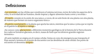 Definiciones
«Las neuronas son las células que constituyen el sistema nervioso, rector de todos los aspectos de la
vida y la actividad del ser humano, desde respirar y digerir alimentos hasta correr y recordar.»
«El injerto consiste en la unión de una rama o, a veces, de un solo brote de una planta con otra planta,
de manera que formen un nuevo organismo único.»
«El patrón o portainjerto es la planta que aporta las raíces, mientras que la rama o yema que se injerta
en el patrón es el injerto o vástago.»
«Se conoce como glaciaciones a diferentes momentos geológicos de la historia de la Tierra durante
los cuales se formaron glaciares, es decir, masas de hielo que recubrieron grandes regiones
terrestres.»
«El axón también se origina en el cuerpo celular, forma un cono de emergencia que transporta el
flujo axonal y termina en el punto de encuentro con las dendritas de otras células. Ese punto de
encuentro se denomina sinapsis».
 