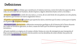 Definiciones
«Las neuronas son las células que constituyen el sistema nervioso, rector de todos los aspectos de la
vida y la actividad del ser humano, desde respirar y digerir alimentos hasta correr y recordar.»
«El injerto consiste en la unión de una rama o, a veces, de un solo brote de una planta con otra planta,
de manera que formen un nuevo organismo único.»
«El patrón o portainjerto es la planta que aporta las raíces, mientras que la rama o yema que se injerta
en el patrón es el injerto o vástago.»
«Se conoce como glaciaciones a diferentes momentos geológicos de la historia de la Tierra durante
los cuales se formaron glaciares, es decir, masas de hielo que recubrieron grandes regiones
terrestres.»
«El axón también se origina en el cuerpo celular, forma un cono de emergencia que transporta el
flujo axonal y termina en el punto de encuentro con las dendritas de otras células. Ese punto de
encuentro se denomina sinapsis».
 