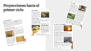 Proyecciones hacia el
primer ciclo
 