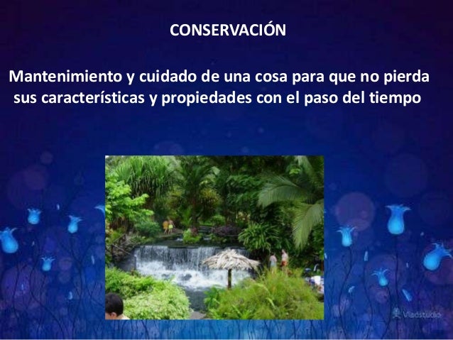 Técnica Conservación Y Cuidado De La Naturaleza Marla Michell