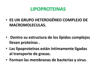 LIPOPROTEINAS
• ES UN GRUPO HETEROGÉNEO COMPLEJO DE
  MACROMOLECULAS.

• Dentro su estructura de los lípidos complejos
  llevan proteínas .
• Las lipoproteínas están íntimamente ligadas
  al transporte de grasas.
• Forman las membranas de bacterias y virus.
 