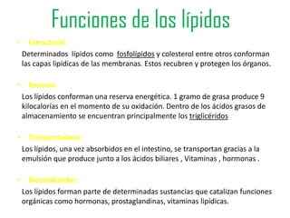 Funciones de los lípidos
• Estructural:
 Determinados lípidos como fosfolípidos y colesterol entre otros conforman
 las capas lipídicas de las membranas. Estos recubren y protegen los órganos.

• Reserva:
 Los lípidos conforman una reserva energética. 1 gramo de grasa produce 9
 kilocalorías en el momento de su oxidación. Dentro de los ácidos grasos de
 almacenamiento se encuentran principalmente los triglicéridos

• Transportadora:
 Los lípidos, una vez absorbidos en el intestino, se transportan gracias a la
 emulsión que produce junto a los ácidos biliares , Vitaminas , hormonas .

• Biocatalizador:
 Los lípidos forman parte de determinadas sustancias que catalizan funciones
 orgánicas como hormonas, prostaglandinas, vitaminas lipídicas.
 