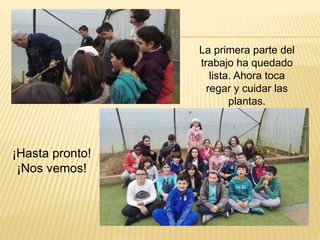 La primera parte del
trabajo ha quedado
lista. Ahora toca
regar y cuidar las
plantas.
¡Hasta pronto!
¡Nos vemos!