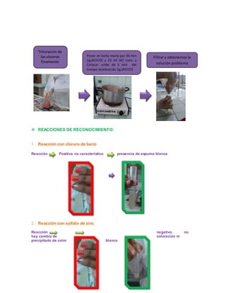 Trituración de 
las vísceras 
finamente 
Poner en baño maría por 30 min 
2g.(KClO3) y 25 ml HCl conc. y 
Colocar antes de 5 min del 
tiempo establecido 2g.(KClO3) 
 REACCIONES DE RECONOCIMIENTO: 
1. Reacción con cloruro de bario 
Filtrar y obtenemos la 
solución problema 
Reacción Positiva no característico presencia de espuma blanca 
2. Reacción con sulfato de zinc 
Reacción negativo no 
hay cambio de coloración ni 
precipitado de color blanco 
 