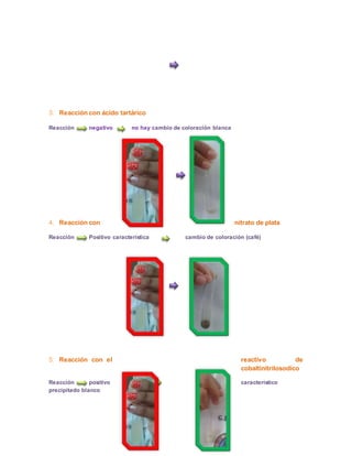 3. Reacción con ácido tartárico 
Reacción negativo no hay cambio de coloración blanca 
4. Reacción con nitrato de plata 
Reacción Positivo característica cambio de coloración (café) 
5. Reacción con el reactivo de 
cobaltinitrilosodico 
Reacción positivo característico 
precipitado blanco 
 