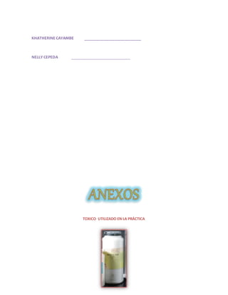 KHATHERINE CAYAMBE ___________________________ 
NELLY CEPEDA ____________________________ 
TOXICO UTILIZADO EN LA PRÁCTICA 
 