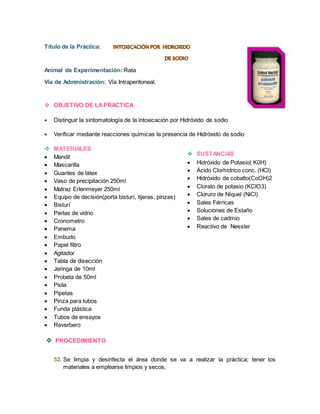 Título de la Práctica: 
Animal de Experimentación: Rata 
Vía de Administración: Vía Intraperitoneal. 
 OBJETIVO DE LA PRACTICA 
 Distinguir la sintomatología de la intoxicación por Hidróxido de sodio 
 Verificar mediante reacciones químicas la presencia de Hidróxido de sodio 
 MATERIALES 
 Mandil 
 Mascarilla 
 Guantes de látex 
 Vaso de precipitación 250ml 
 Matraz Erlenmeyer 250ml 
 Equipo de decisión(porta bisturí, tijeras, pinzas) 
 Bisturí 
 Perlas de vidrio 
 Cronometro 
 Panema 
 Embudo 
 Papel filtro 
 Agitador 
 Tabla de disección 
 Jeringa de 10ml 
 Probeta de 50ml 
 Piola 
 Pipetas 
 Pinza para tubos 
 Funda plástica 
 Tubos de ensayos 
 Reverbero 
 PROCEDIMIENTO 
52. Se limpia y desinfecta el área donde se va a realizar la práctica; tener los 
materiales a emplearse limpios y secos. 
 SUSTANCIAS 
 Hidróxido de Potasio( K0H) 
 Ácido Clorhídrico conc. (HCl) 
 Hidróxido de cobalto(CoOH)2 
 Clorato de potasio (KClO3) 
 Cloruro de Níquel (NiCl) 
 Sales Férricas 
 Soluciones de Estaño 
 Sales de cadmio 
 Reactivo de Nessler 
 