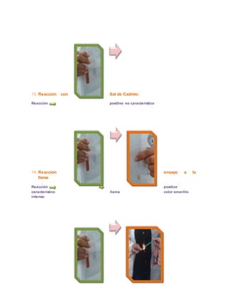 13. Reacción con Sal de Cadmio: 
Reacción positivo no característico 
14. Reacción ensayo a la 
llama 
Reacción positivo 
característico llama color amarillo 
intenso 
 