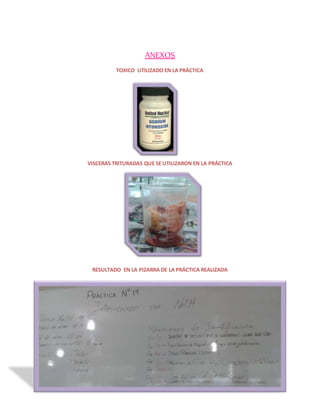 ANEXOS 
TOXICO UTILIZADO EN LA PRÁCTICA 
VISCERAS TRITURADAS QUE SE UTILIZARON EN LA PRÁCTICA 
RESULTADO EN LA PIZARRA DE LA PRÁCTICA REALIZADA 
 