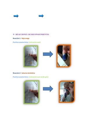  REACCIONES DE RECONOCIMIENTO: 
Reacción 1: Rojo conga 
Positivo característico: (coloración azul) 
Reacción 2: Solucion alcoholica 
Positivo característico: (coloración azul-verde-gris) 
 