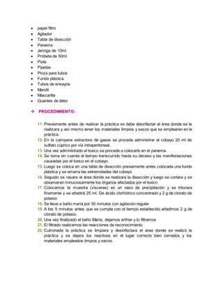  papel filtro 
 Agitador 
 Tabla de disección 
 Panema 
 Jeringa de 10ml 
 Probeta de 50ml 
 Piola 
 Pipetas 
 Pinza para tubos 
 Funda plástica 
 Tubos de ensayos 
 Mandil 
 Mascarilla 
 Guantes de látex 
 PROCEDIMIENTO: 
11. Previamente antes de realizar la práctica se debe desinfectar el área donde se la 
realizara y así mismo tener los materiales limpios y secos que se emplearan en la 
práctica. 
12. En la campana extractora de gases se procede administrar al cobayo 20 ml de 
sulfato cúprico por vía intraperitoneal. 
13. Una vez administrado el toxico se procede a colocarlo en el panema. 
14. Se toma en cuenta el tiempo transcurrido hasta su deceso y las manifestaciones 
causadas por el toxico en el cobayo. 
15. Luego se coloca en una tabla de disección previamente antes colocada una funda 
plástica y se amarra las extremidades del cobayo 
16. Seguido se rasara el área donde se realizara la disección y luego se cortara y se 
observaran minuciosamente los órganos afectados por el toxico 
17. Colocamos la muestra (vísceras) en un vaso de precipitación y se triturara 
finamente y se añadirá 25 ml. De ácido clorhídrico concentrado y 2 g de clorato de 
potasio 
18. Se lleva a baño maría por 30 minutos con agitación regular 
19. A los 5 minutos antes que se cumpla con el tiempo establecido añadimos 2 g de 
clorato de potasio. 
20. Una vez finalizado el baño María, dejamos enfriar y lo filtramos 
21. El filtrado realizamos las reacciones de reconocimiento 
22. Culminada la práctica se limpiara y desinfectara el área donde se realizó la 
práctica y se dejara los reactivos en el lugar correcto bien cerrados y los 
materiales empleados limpios y secos. 
 