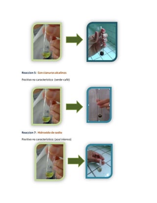 Reaccion 5: Con cianuros alcalinos 
Positivo no característico (verde-café) 
Reaccion 7: Hidroxido de sodio 
Positivo no característico: (azul intenso) 
 