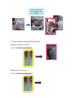 Poner en baño maría 
por 30 min(con HCl y 
 REACCIONES DE RECONOCIMIENTO: 
Reacción 1: Hidróxidos Alcalinos: 
Negativo (no hubo precipitado blanco) 
Reacción 2: Con el Amoniaco: 
Negativo (no hubo precipitado blanco) 
KClO3) 
 