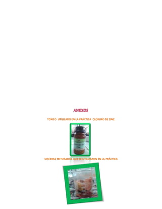 TOXICO UTILIZADO EN LA PRÁCTICA CLORURO DE ZINC 
VISCERAS TRITURADAS QUE SE UTILIZARON EN LA PRÁCTICA 
 