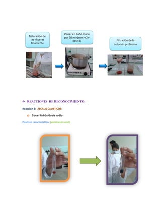 Trituración de 
las vísceras 
finamente 
Poner en baño maría 
por 30 min(con HCl y 
 REACCIONES DE RECONOCIMIENTO: 
Reacción 1: ALCALIS CAUSTICOS: 
a) Con el hidróxido de sodio 
Positivo característico: (coloración azul) 
KClO3) Filtración de la 
solución problema 
 