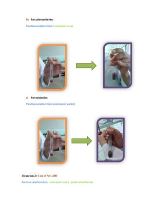 b) Por calentamiento: 
Positivo característico: (coloración rosa) 
c) Por oxidación: 
Positivo característico: (coloración pardo) 
Reaccion 2: Con el NH4OH 
Positivo característico: (coloración azul a pardo amarillento) 
 