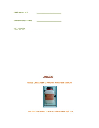 DAYSI AMBULUDI ___________________________ 
KHATHERINE CAYAMBE ___________________________ 
NELLY CEPEDA ____________________________ 
TOXICO UTILIZADO EN LA PRÁCTICA NITRATO DE COBALTO 
VISCERAS TRITURADAS QUE SE UTILIZARON EN LA PRÁCTICA 
 