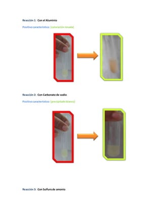 Reacción 1: Con el Aluminio 
Positivo característico: (coloración rosada) 
Reacción 2: Con Carbonato de sodio 
Positivo característico: (precipitado blanco) 
Reacción 3: Con Sulfuro de amonio 
 