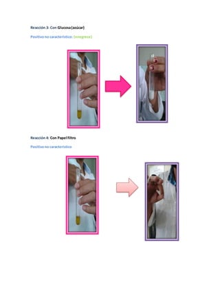 Reacción 3: Con Glucosa (azúcar) 
Positivo no característico: (enegrece) 
Reacción 4: Con Papel filtro 
Positivo no característico 
 