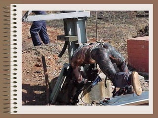 Segurança com eletricidade