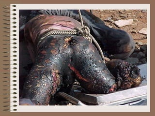 Segurança com eletricidade