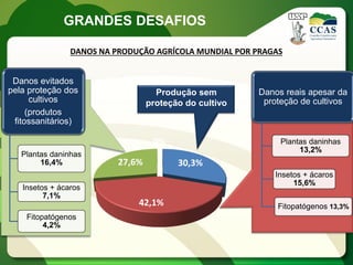 GRANDES DESAFIOS

                DANOS NA PRODUÇÃO AGRÍCOLA MUNDIAL POR PRAGAS


 Danos evitados
pela proteção dos                   Produção sem        Danos reais apesar da
      cultivos                    proteção do cultivo    proteção de cultivos
     (produtos
 fitossanitários)

                                   0%                        Plantas daninhas
                                                                  13,2%
   Plantas daninhas
        16,4%             27,6%          30,3%
                                                           Insetos + ácaros
                                                                15,6%
   Insetos + ácaros
         7,1%
                              42,1%                         Fitopatógenos 13,3%
    Fitopatógenos
         4,2%
 